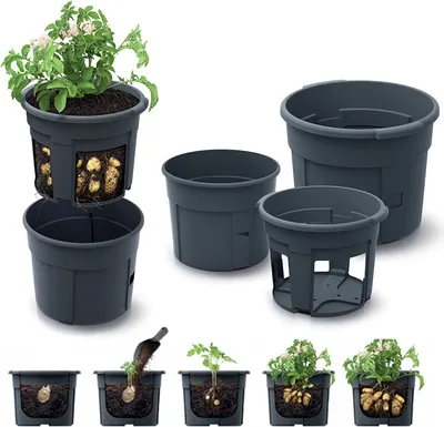 Produktbild von Töpfe für Kartoffeln 2in1, 295x245mm, Prosperplast