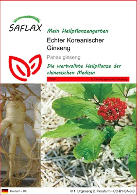 Obrázok produktu pre SAFLAX - Pravý kórejský ženšen - Panax ginseng - 10 Semená