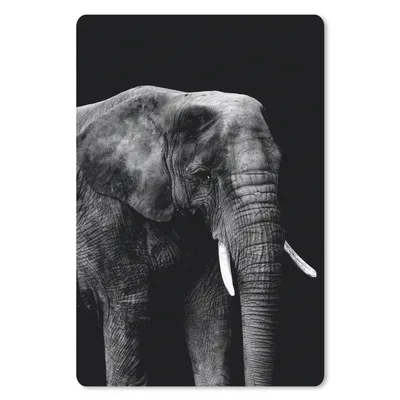 Produktbild von MuchoWow® Mauspad Mousepad Elefant mit vor schwarzem Hintergrund - schwarz und weiß 18x27 cm - Mousepads - Maus Mat - Pad - Mausunterlage