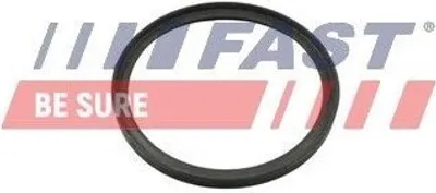 Produktbild von FAST Dichtring FT49857 für BMW X3 (F25) 4,2mm FPM (Fluor-Kautschuk) 50mm