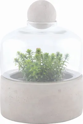 Produktbild von Esschert Design Anzuchtflasche Betonschale S; AGG43
