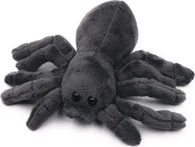 Produktbild von Onwomania Plüschtier Kuscheltier Stoff Tier Spinne Vogelspinne schwarz 20 cm