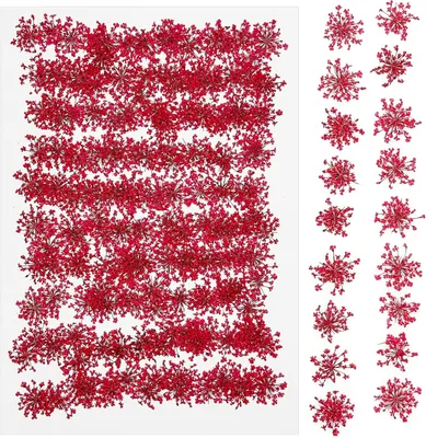 Imagen del producto de Flores secas y prensadas, 150 unidades, para proyectos creativos de manualidades
