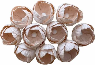 Obrázok produktu pre Jaspers - bledá broskyňa 15 mm - 50 ks