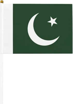 20 Mini-Flaggen Pakistan, Handflaggen, 14x21 cm, Polyester