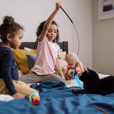 Produktbild von Umfangreiches 39-teiliges Spielzeugset für Katzen mit Tunnel und verschiedenen Spielzeugen
