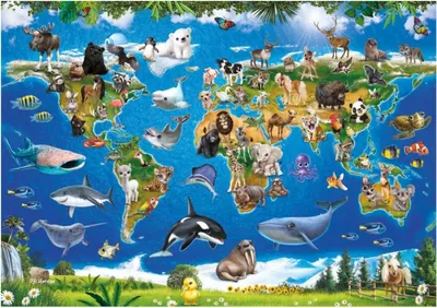Produktbild von DINO Puzzle Mapa zvíř at XL 100 dílků