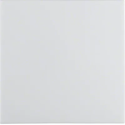 Obrázok produktu pre Berker 16298989, Rocker, Biela, Duroplast, S.1, IP44