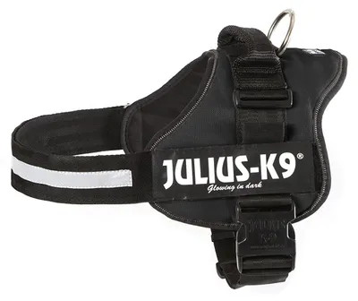 Image de Julius-K9® Powergeschirr®, taille 0-3 82-115 cm/50 mm noir