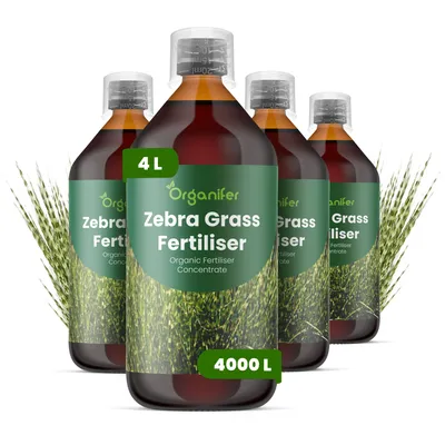 Produktbild von Flüssigdünger Für Zebragras 4x1L – 2-1-8 NPK – Flüssig-Pflanzendünger Für Zebragras – Organifer