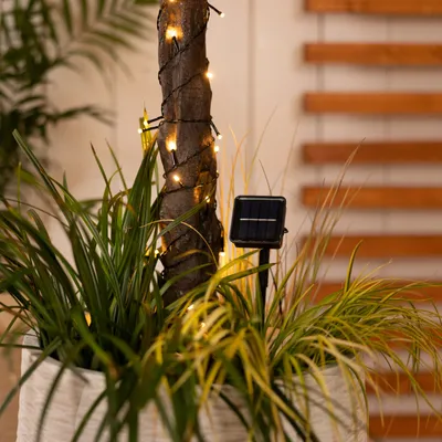 A solar-powered LED string light set is wrapped around a tree trunk, with a solar panel visible next to it, surrounded by plants in a pot.