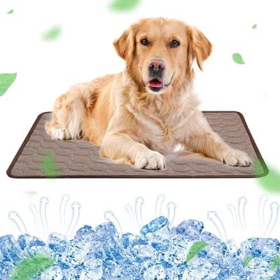 Zdjęcie produktu dla Duża samonawilżająca mata dla psów 100 x 70 cm