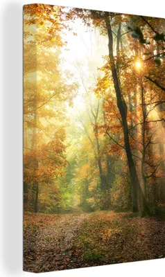 Produktbild von OneMillionCanvasses® - Leinwandbilder - 90x140 cm, Wald - Herbst - Sonne - Landschaft - Natur - Bäume - Laub, Wandbilder Kunstdruck Wanddekoration - Foto auf Leinwand - Gemälde auf - Wandschmucke - Schlafzimmer