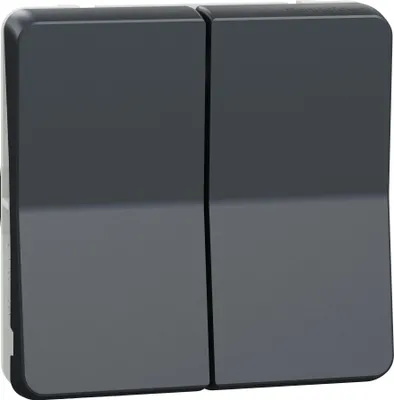 Immagine prodotto di Interruttore Schneider Electric MUR35019 Mureva serie 6+6 doppio AC antracite