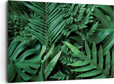 Produktbild von Bild auf Leinwand - Leinwandbild - 3 Teile - Exotisch Blätter Monstera - 165x110cm - Wand Bild - Wanddeko - Wandbilder - Leinwanddruck - Bilder - Wanddekoration - Leinwand bilder - CE165x110-4746
