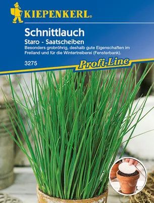 Produktbild von [STREICHUNG 2024] Schnittlauch Staro (Saatscheibe) | Schnittlauchsamen von Kiepenkerl