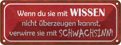 Produktbild von vianmo Blechschild 10x27 cm verwirre sie mit Schwachsinn Dekoration Spruch Zitat