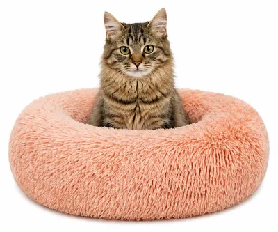 Produktbild von lionto Donut Katzenkissen, rundes Bett mit Plüschbezug & Anti-Rutsch-Boden, erhöhter Rand für Geborgenheit, 40 cm Durchmesser, rosa