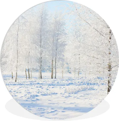 Produktbild von MuchoWow® Rundes Wandbild - Runde Bilder Schnee - Bäume - Winter Ø 90 cm Kreis Wanddekoration Kunststoff - Wandkreis - Wandschmuck - Wand-Kreis - Wohnzimmer - Bild - Runde - Wanddeko - Dibond - Kunstdrucke