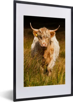 Produktbild von MuchoWow® Gerahmtes Poster Schottische Highlander - Licht - Gras - Tiere 40x60 cm - Poster mit Schwarzem Bilderrahmen Wandposter Rahmen Foto Bilder - Poster in Rahmen
