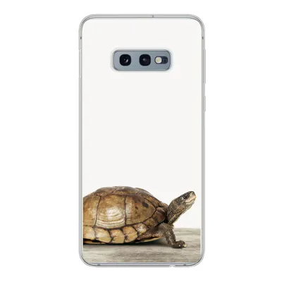 Produktbild von MuchoWow® Handyhülle Schutzhülle Hülle für Samsung Galaxy S10e Schildkröte - Junge - Tiere - Kinder - Mädchen Silikon Softcase Handy Hülle - Handy