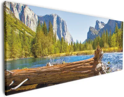 Produktbild von Wallario Premium Leinwandbild Baumstamm im Fluss zwischen Bergen und Wäldern in Größe 50 x 125 cm