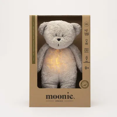 A teddy bear inside its packaging.