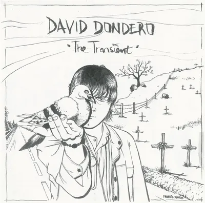 Obrázek produktu pro David Dondero: The Transient (180g) (Limited Edition) (Smoky Vinyl)