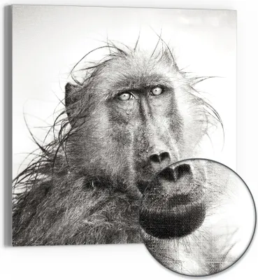 Produktbild von DEQORI Hybrid Leinwand Bild 30x30 cm 'Blick ins Innere' Wandbild Glas flach modern