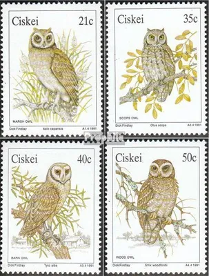 Produktbild von Briefmarken Südafrika - Ciskei 1991 Mi 183-186 (kompl.Ausg.) FDC Eulen