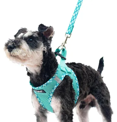 Produktbild von Hundegeschirr und Leinen-Set für kleine bis mittlere Hunde, weichmaschen Welpen Geschirr, Einsteck-Funktion, reflektierend, Grün, Größe S