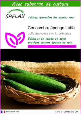 Image de SAFLAX  - Concombre éponge Luffa - 10 graines - Avec substrat - Luffa