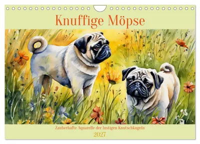 Produktbild von Knuffige Möpse (Wandkalender 2027 DIN A4 quer), CALVENDO Monatskalender