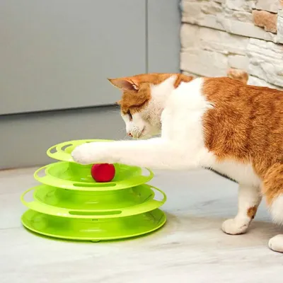 Produktbild von Ferplast Katzenspielzeug Twister 85089099