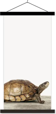 Produktbild von MuchoWow® Textilposter Schildkröte - Junge - Tiere - Kinder - Mädchen 90x180 cm mit schwarzem Rahmen - Dekoration Wohnzimmer