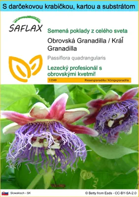 Obrázok produktu pre SAFLAX Darčeková sada - Obrovská Granadilla / Kráľ Granadilla - Passiflora quadrangularis - 12 Semená - S darčekovou krabičkou, prepravným štítkom, darčekovou kartou a pestovateľským médiom
