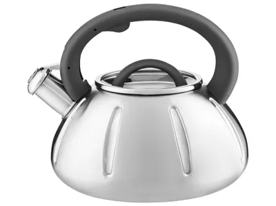 Obrázek produktu pro Rychlovarná konvice Flétnová konvice Pískací konvice Rychlovarná konvice Čajová konvice 2,5 l AMBITION