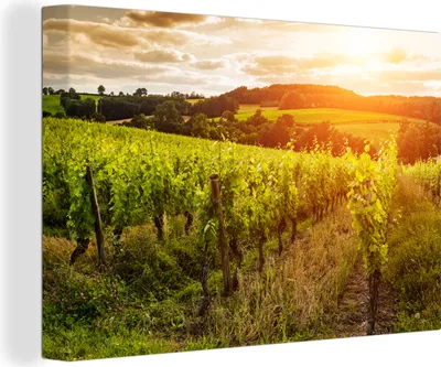 Zdjęcie produktu dla OneMillionCanvasses® - Obraz na płótnie - 140x90 cm, Winnica o zachodzie słońca we Francji, Dekoracja ścienna - Zdjęcie na płótnie - Obraz na drewnianej ramie