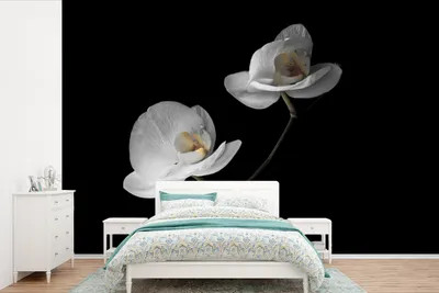 Produktbild von MuchoWow® Fototapete für Wohnzimmer oder Schlafzimmer Wandtapete Vinyl Motivtapete Orchidee - Blumen - Schwarz - Weiß - Stilleben - 330x220 cm - Fototapeten