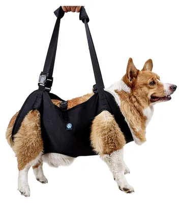 Produktbild von Hundetragegeschirr für Hunde, Unterstützungsgeschirr für Rehabilitation, geeignet für ältere und behinderte Tiere, Gelenkverletzungen und Arthritis, Schwarz, Größe L