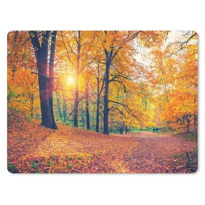 Produktbild von MuchoWow® Mauspad Mousepad Bäume - Herbst - Wald - Herbstliche Blätter 23x19 cm - Mousepads - Maus Mat - Pad - Mausunterlage - Schreibtischunterlage - Mauspad
