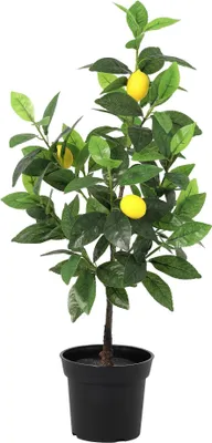Image de Limonier artificiel 65cm - limonier artificiel - feuilles réalistes et aspect