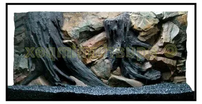 Produktbild von 3D Aquarienrückwand 100x50 Wurzel