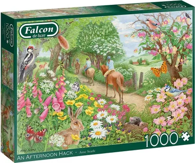 Produktbild von Jumbo 11288 Falcon - An Afternoon Hack 1000 Teile Puzzle