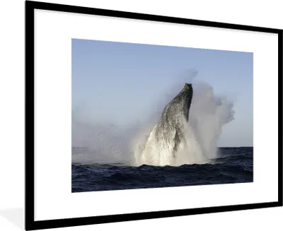 Produktbild von MuchoWow® MuchoWow® Gerahmtes Poster Wal - Wasser - Südafrika 90x60 cm - Poster mit zchwarzem Bilderrahmen - Wanddekoration - Fotos