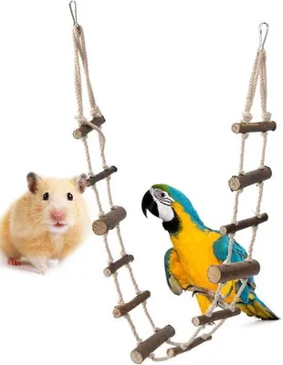 Immagine prodotto di Scala per uccelli in legno - scala da arrampicata realizzata a mano con 12 gradini in legno per giocattoli per uccelli.