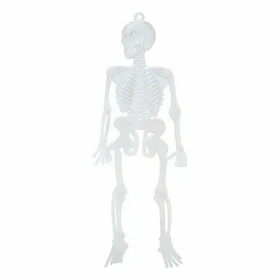 Obrázek produktu pro Kostra 29 x 13 cm (6 kusů)