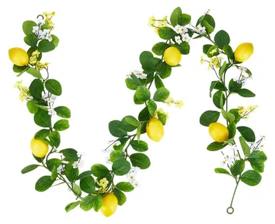 Image de Guirlande de citron artificielle - Avec fruits et feuilles - Décoration pour mur et intérieur - Longueur : 1,62 m
