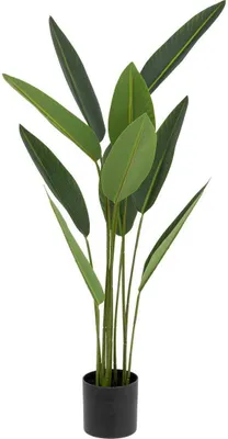 Zdjęcie produktu dla Sztuczna roślina strelicja, 97 cm