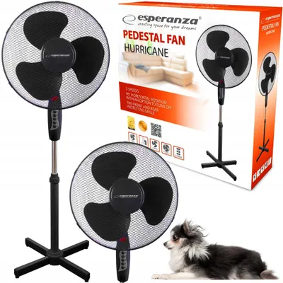Produktbild von Esperanza Hurricane Standventilator Leise Schwarz